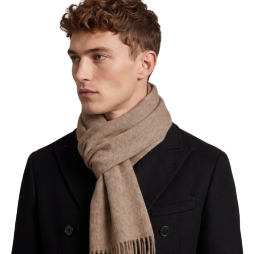 Elzama 98% Cashmere 2% Wool Scarf for Men and Women, Taupe